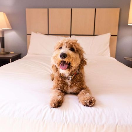 Sonesta Simply Suites Columbus Airport Gahanna Εξωτερικό φωτογραφία