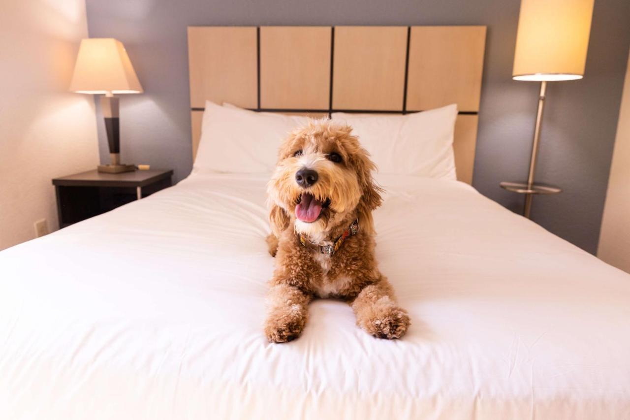 Sonesta Simply Suites Columbus Airport Gahanna Εξωτερικό φωτογραφία